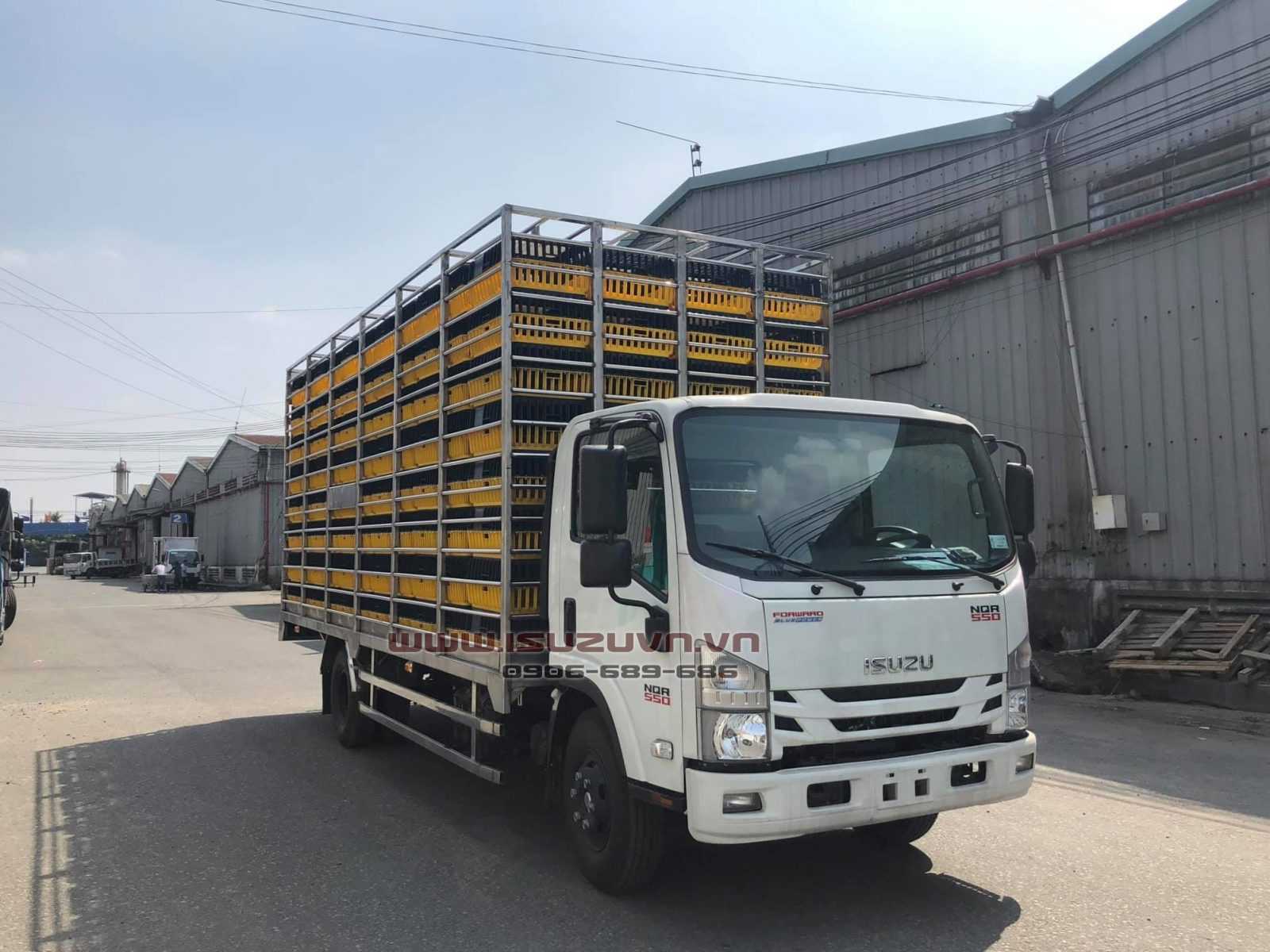 NQR75ME4__Xe chở gia cầm gà chở lồng gà 7